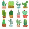 Cactus Birthday Display (Deliverable)